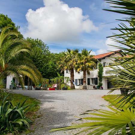 Erreka Txikia Bed & Breakfast Urrugne Exterior foto